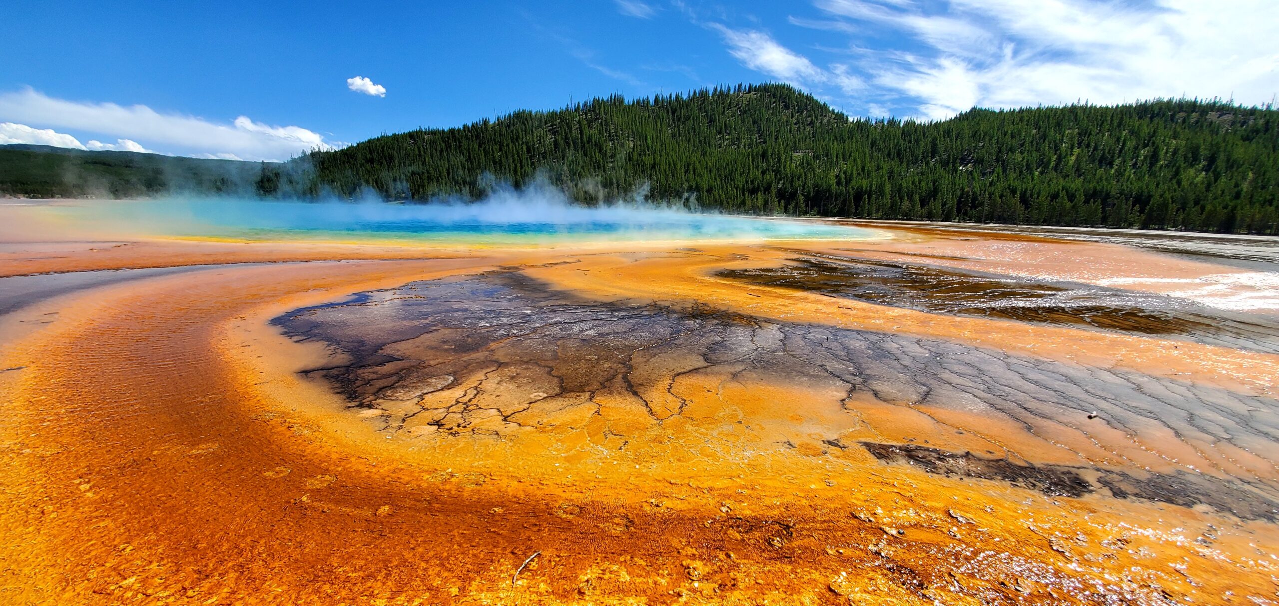 Ultimate Family Guide in Yellowstone National Park